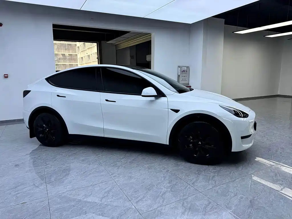 Tesla Model Y — миниатюра 18