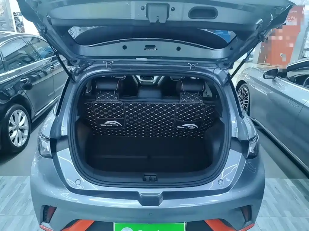 BYD Dolphin — миниатюра 19