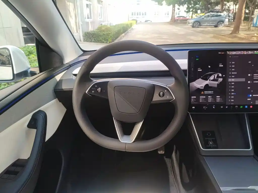 Tesla Model Y — миниатюра 11