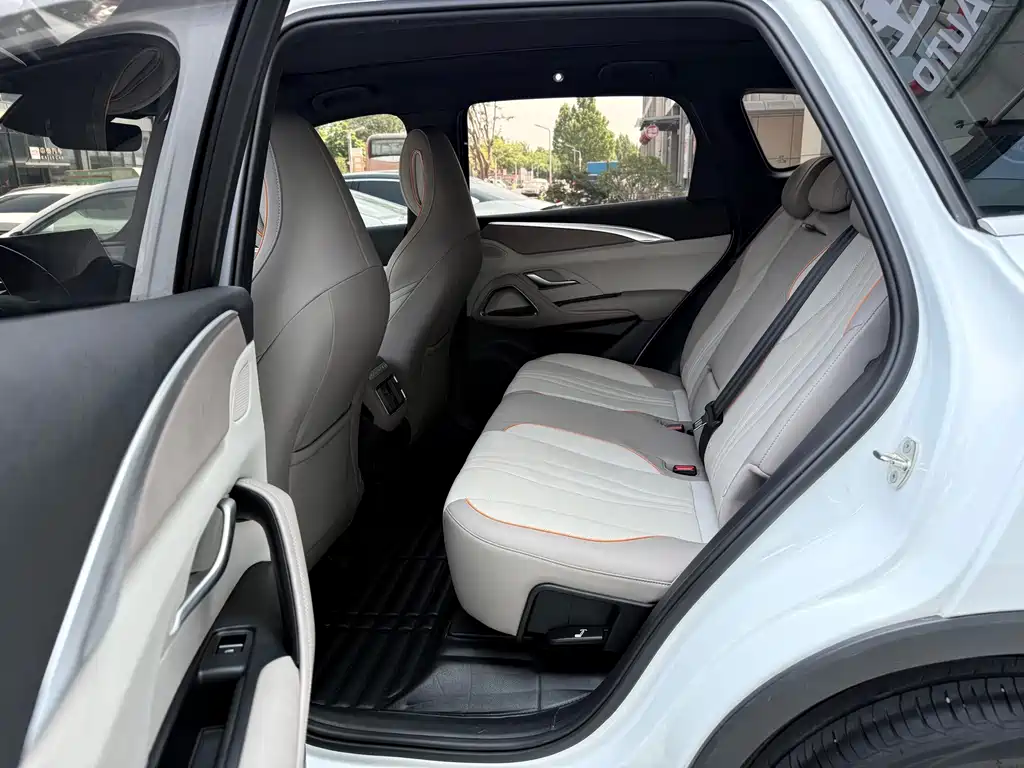 BYD Pro New Energy — миниатюра 8