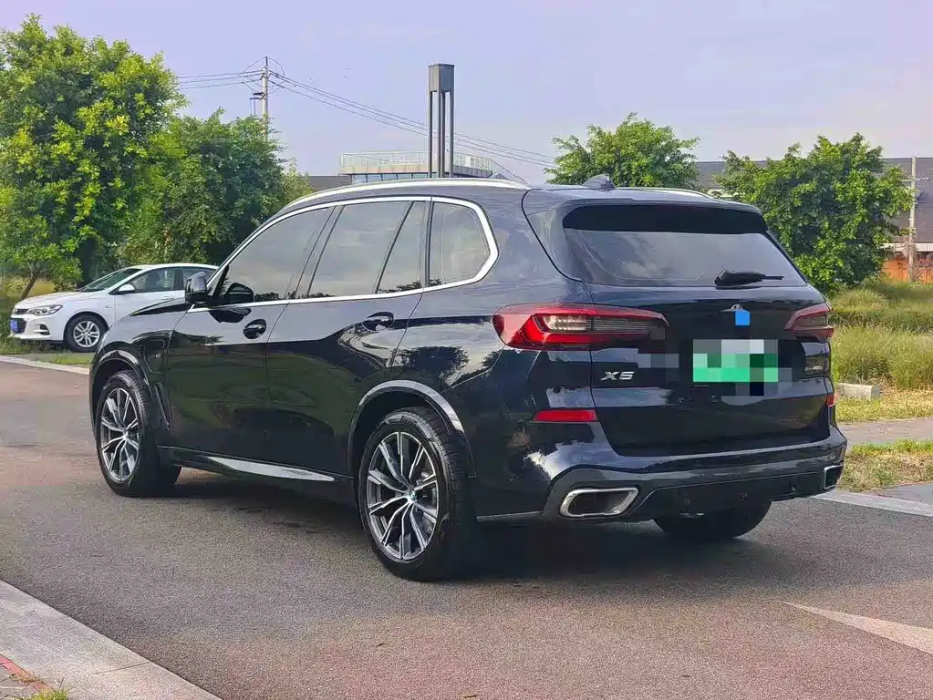 BMW X5 New Energy (Import) — миниатюра 7