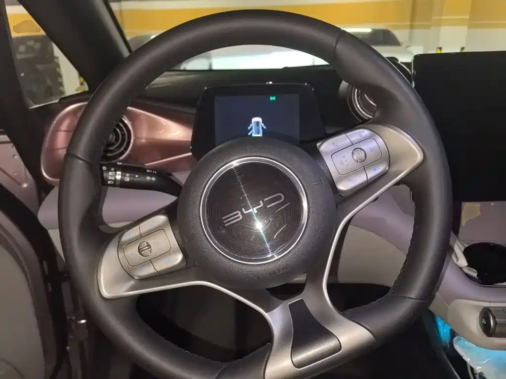 BYD Dolphin — миниатюра 11