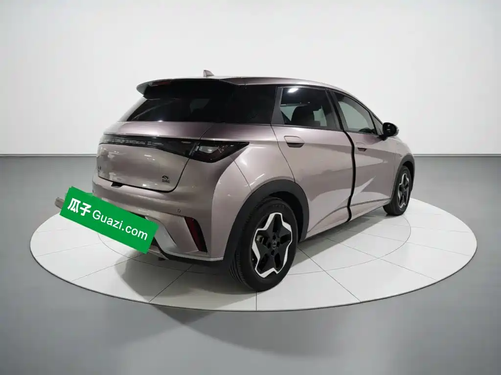 BYD Dolphin — миниатюра 6