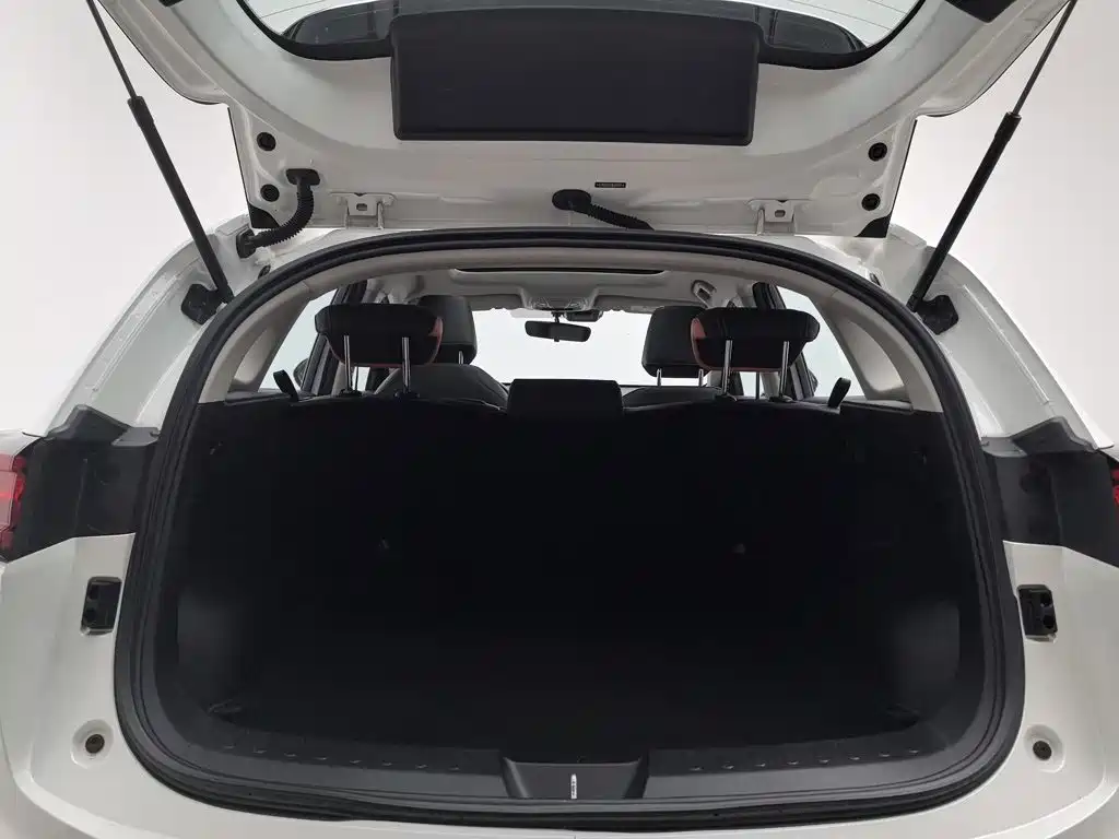 Haval Chitu — миниатюра 16