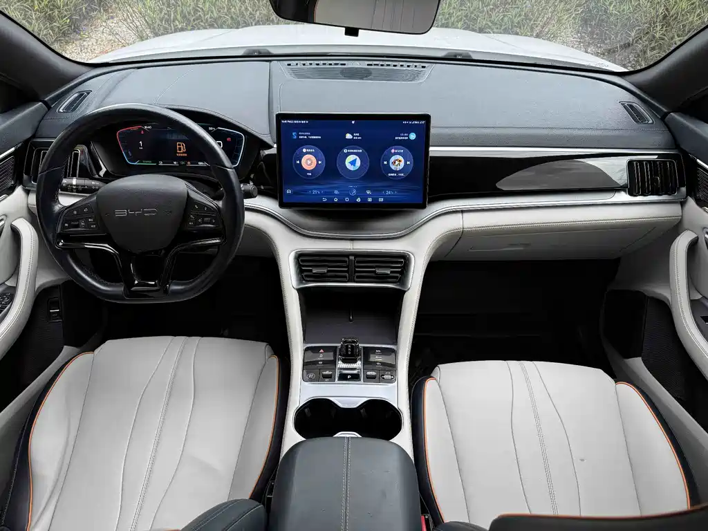 BYD PLUS New Energy — миниатюра 6