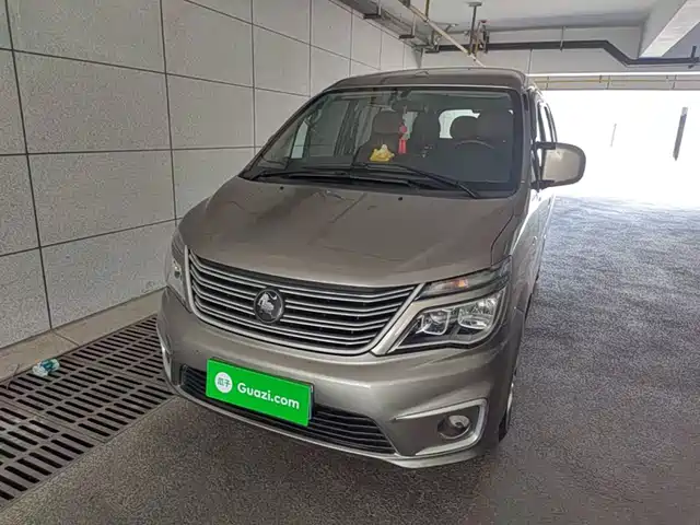 2022 DongFeng Forthing Lingzhi