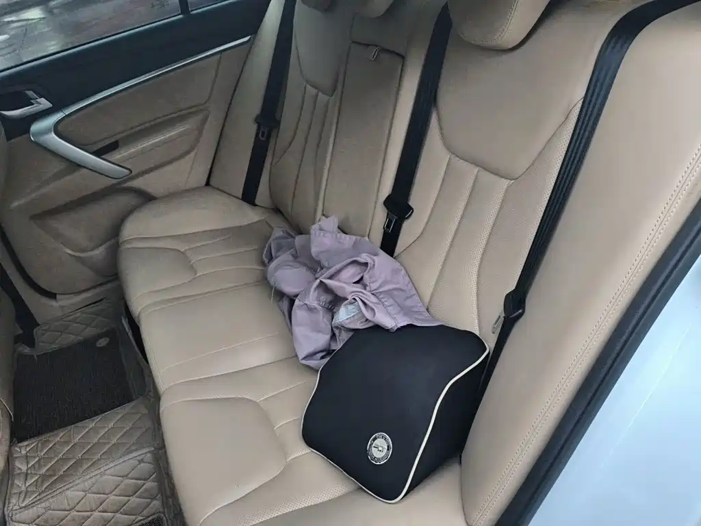 Geely Emgrand — миниатюра 18