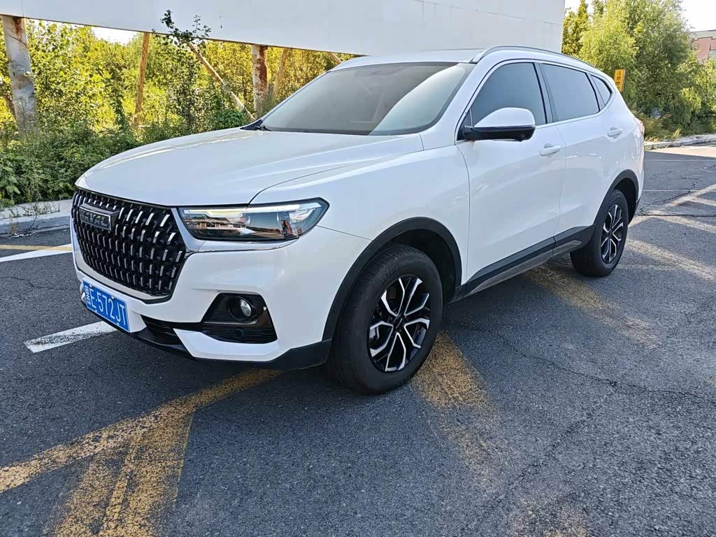 Haval Haval H6 1.5 л 2023 г. Белый, пробег 31000 км