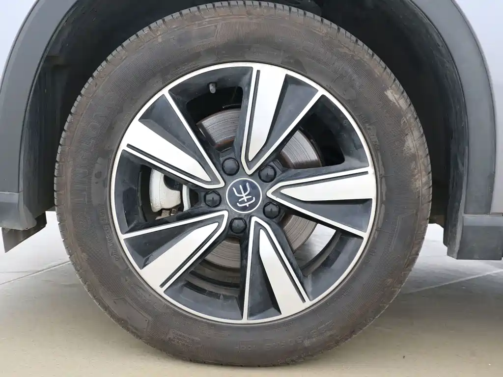 BYD Pro New Energy — миниатюра 11