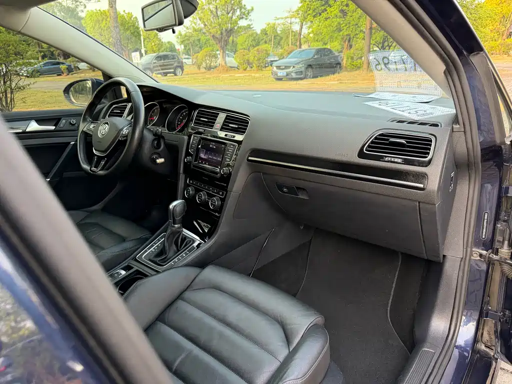 Volkswagen Golf (Import) — миниатюра 19
