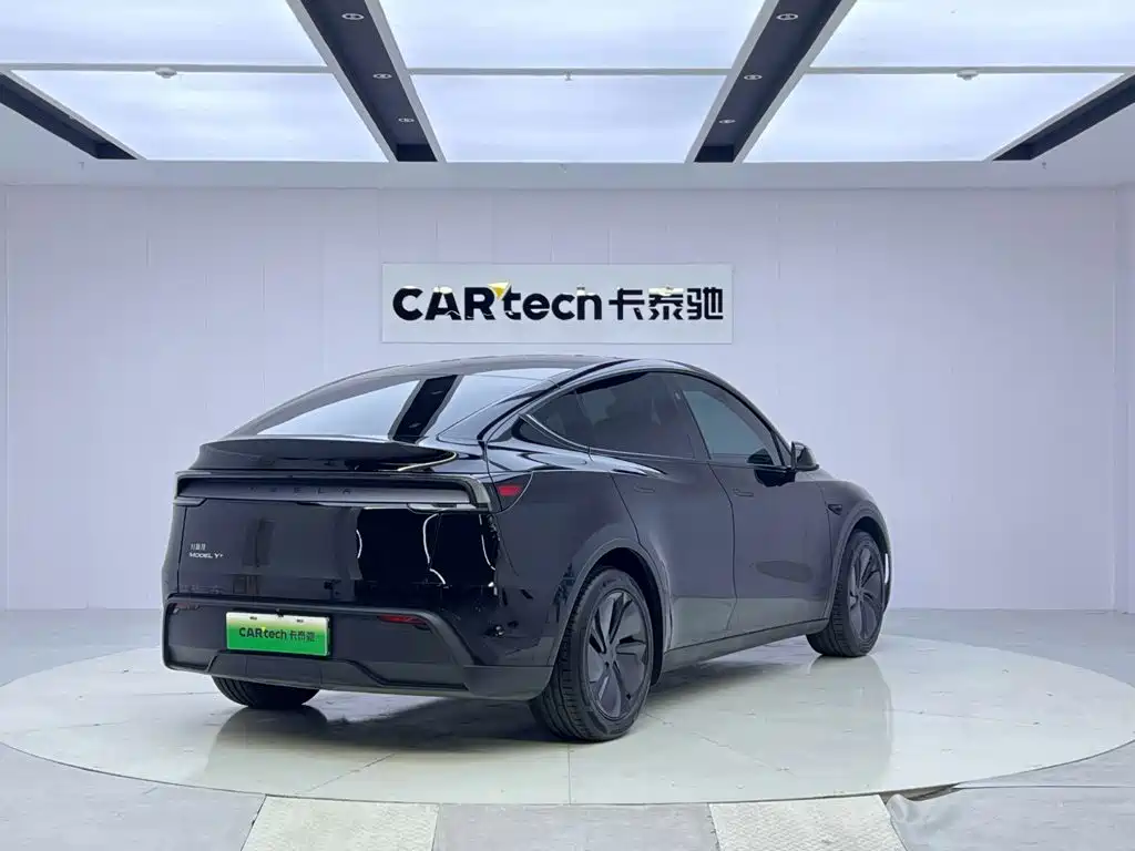Tesla Model Y — миниатюра 5