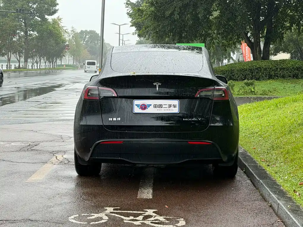 Tesla Model Y — миниатюра 5