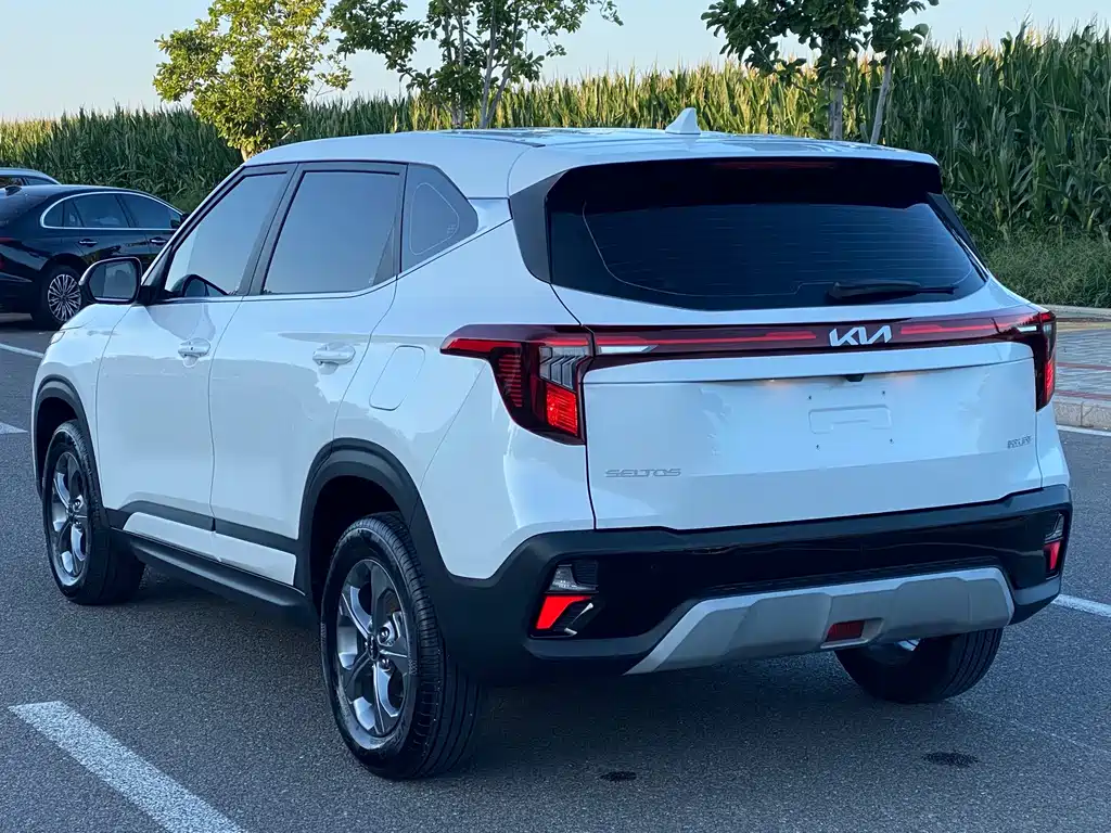 Kia Seltos — миниатюра 14