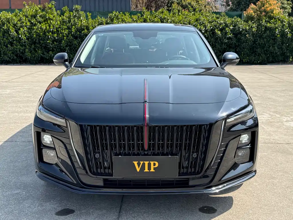 Hongqi Hongqi H5 — миниатюра 2