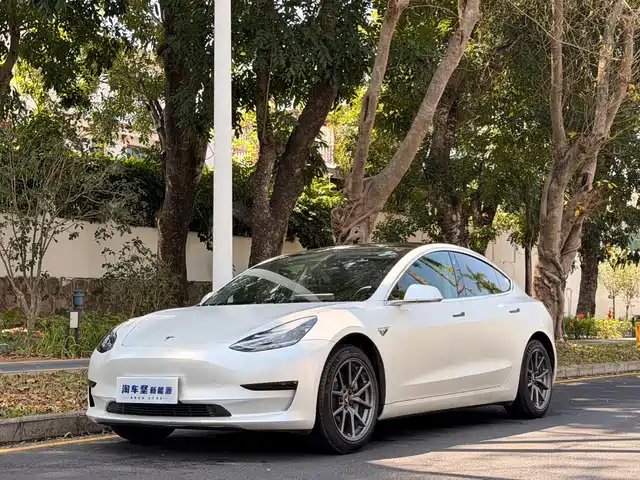 TESLA MODEL 3 2020
