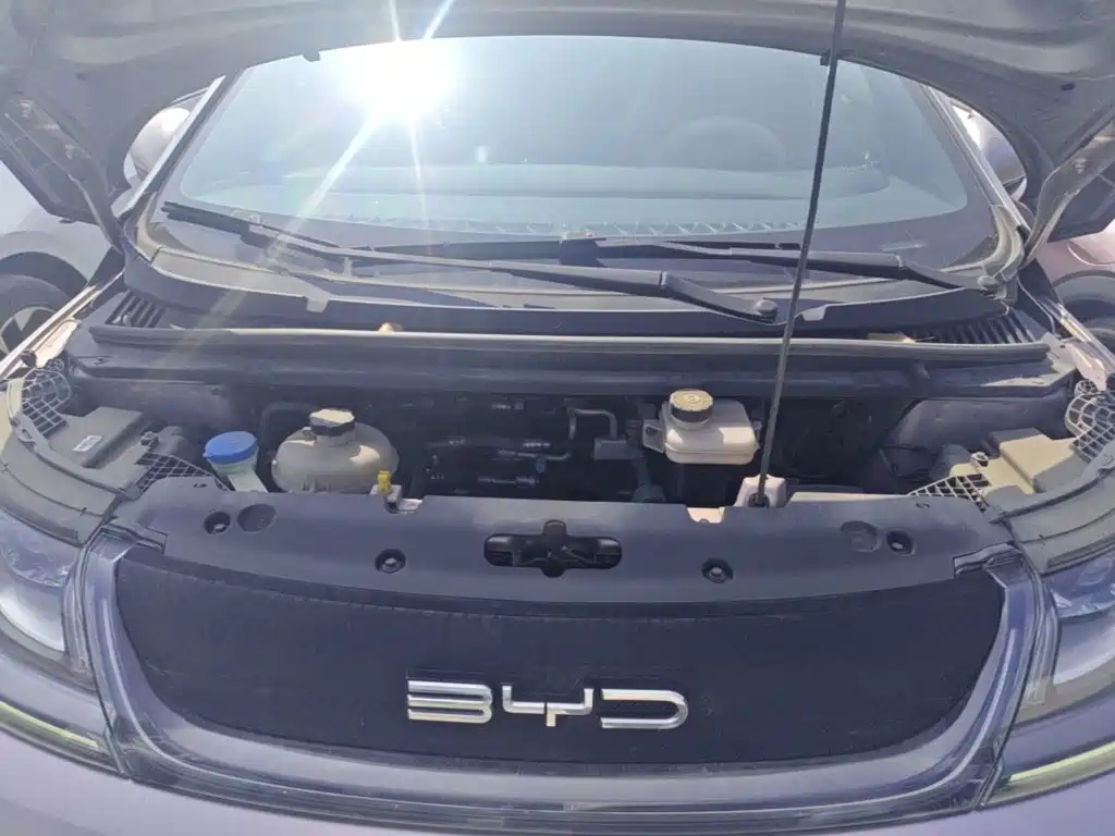 BYD Dolphin — миниатюра 20