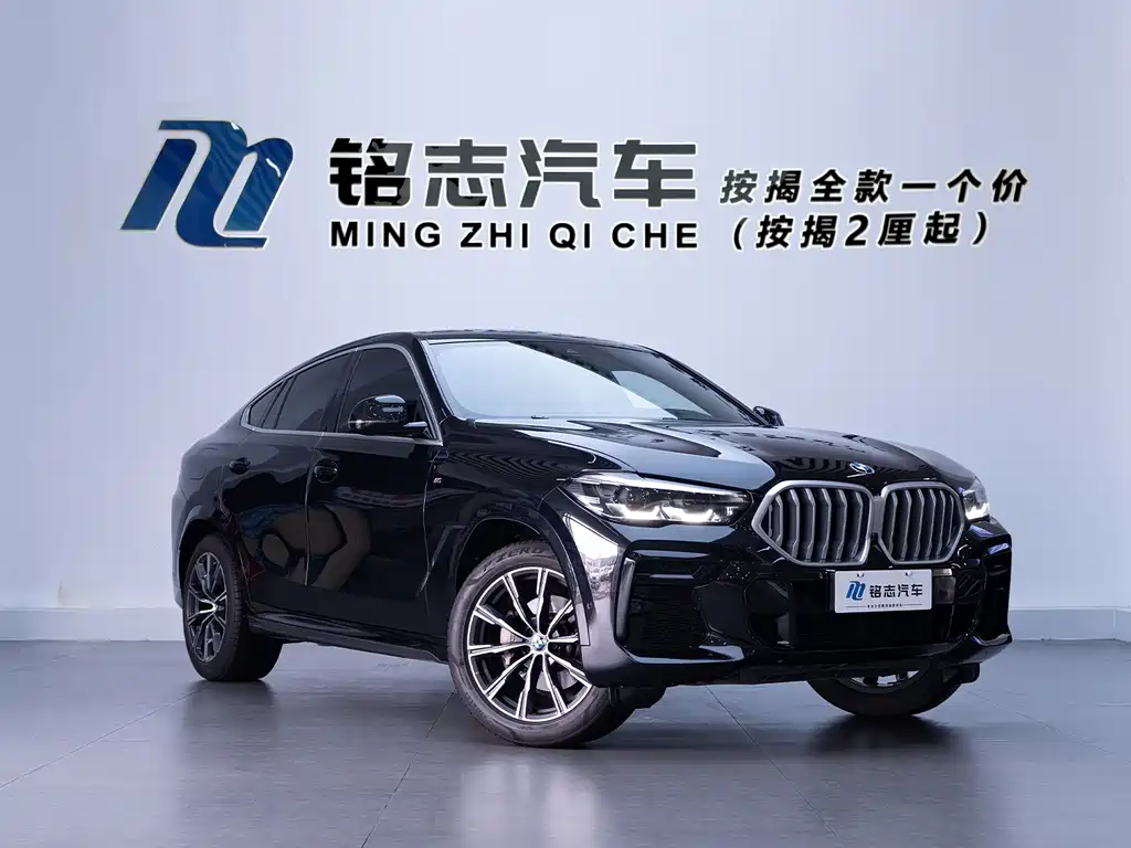 BMW X6 — миниатюра 3