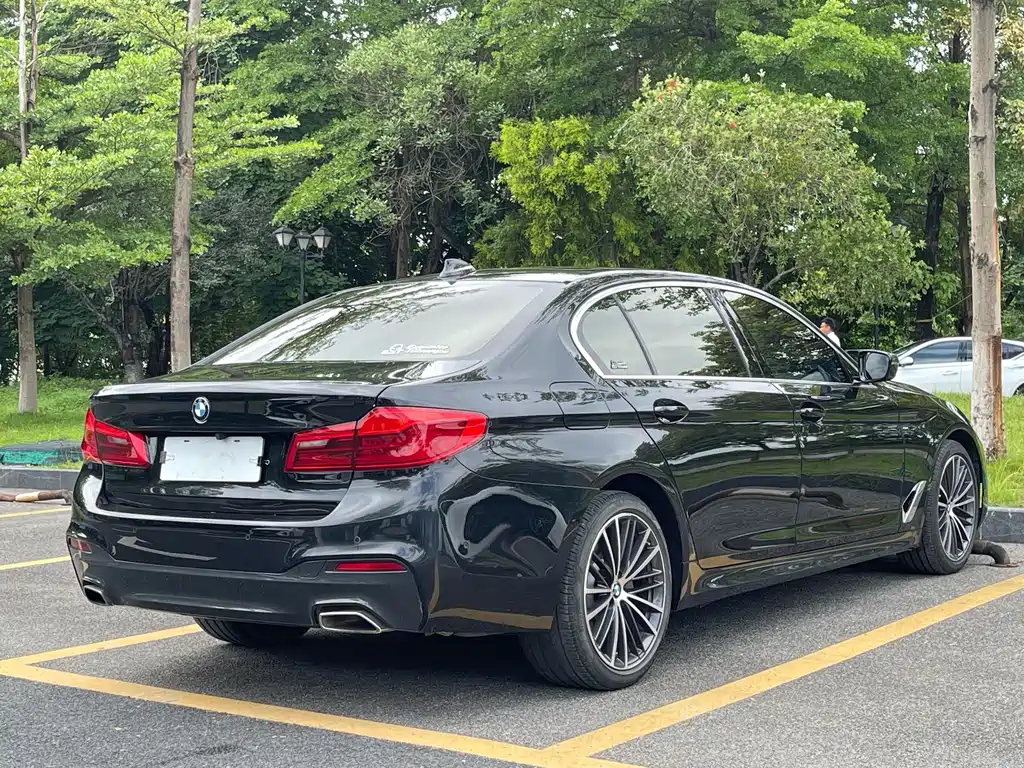 BMW 5 Series 5 2020 530Li Premium M Sport