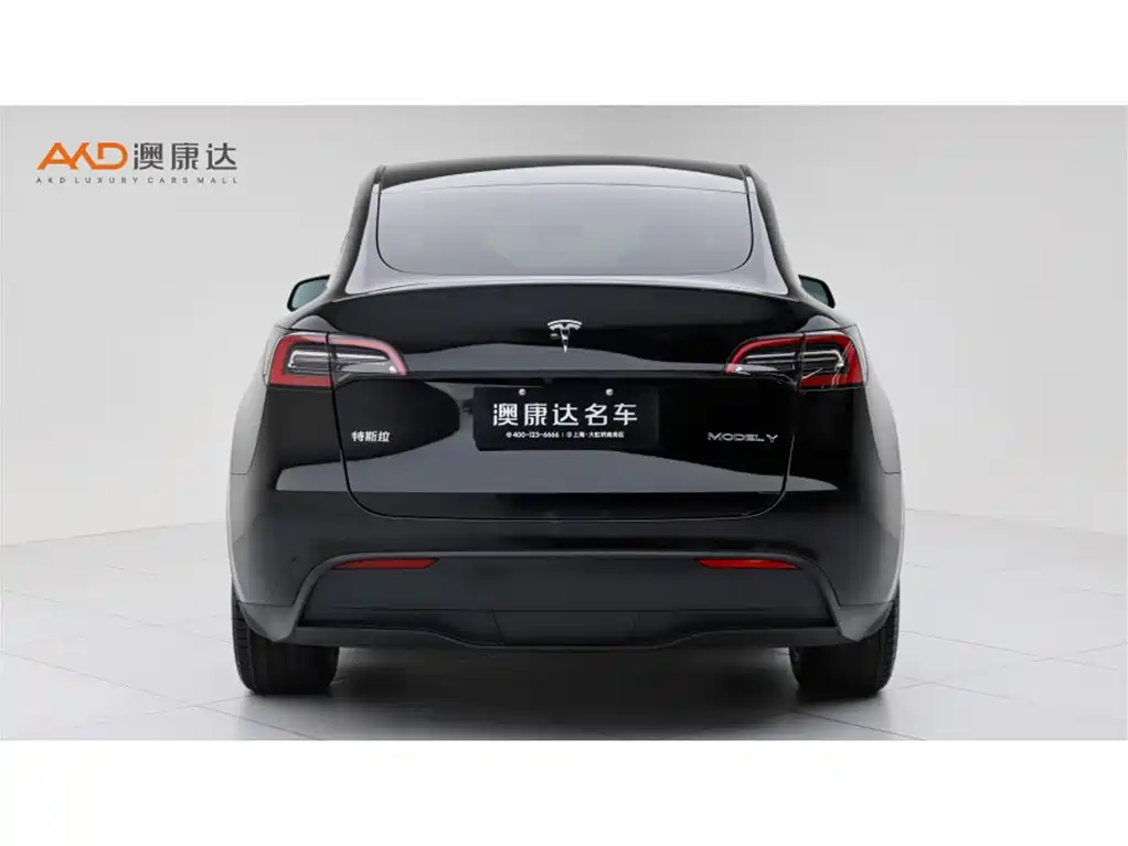 Tesla Model Y — миниатюра 4