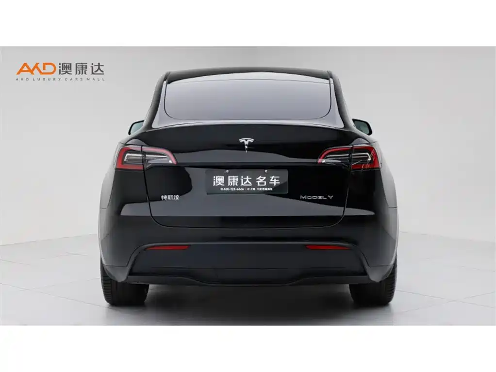 Tesla Model Y — миниатюра 4
