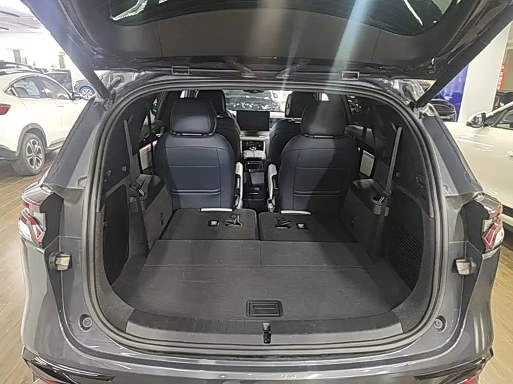 BYD Tang New Energy — миниатюра 19