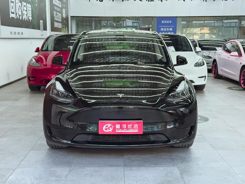 Tesla Model Y — миниатюра 2