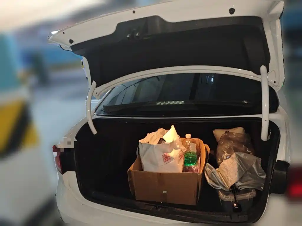 Volkswagen Lamando — миниатюра 20