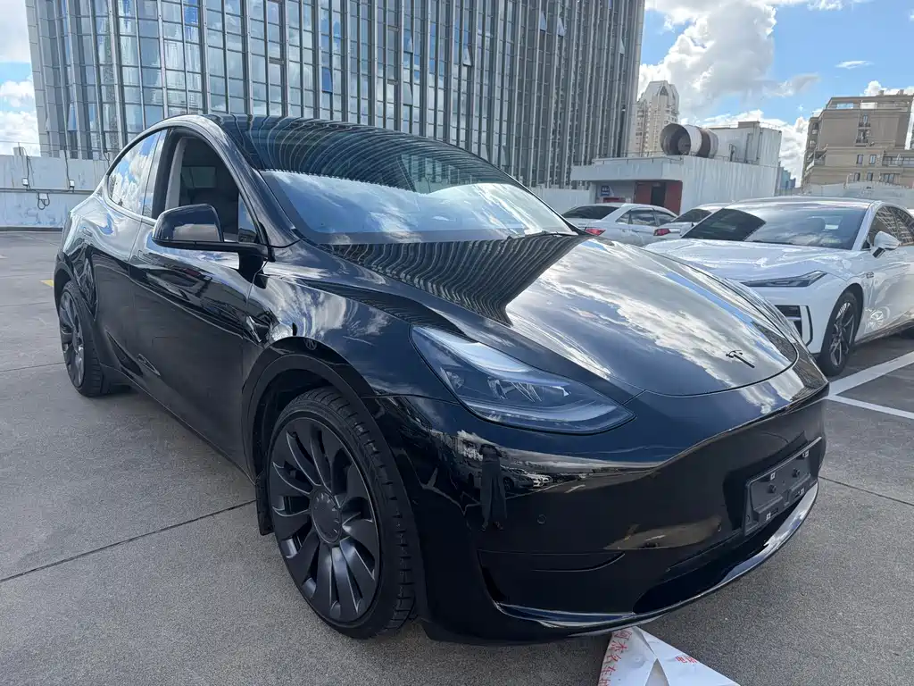 Tesla Model Y — миниатюра 3