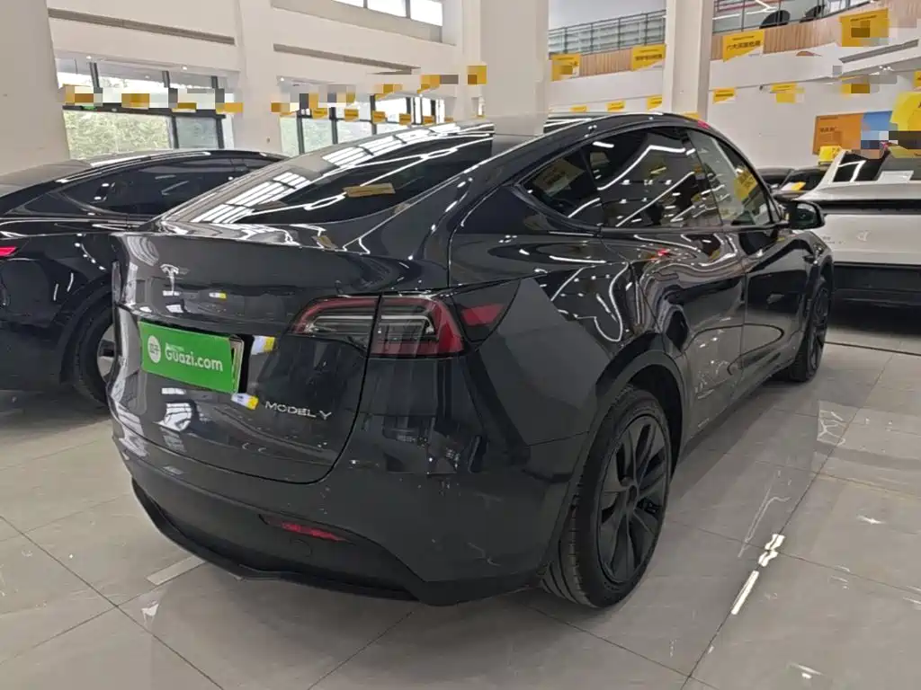 Tesla Model Y — миниатюра 7