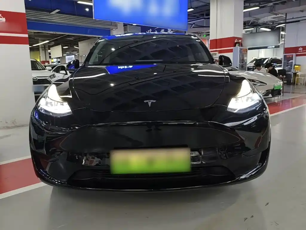 Tesla Model Y — миниатюра 3