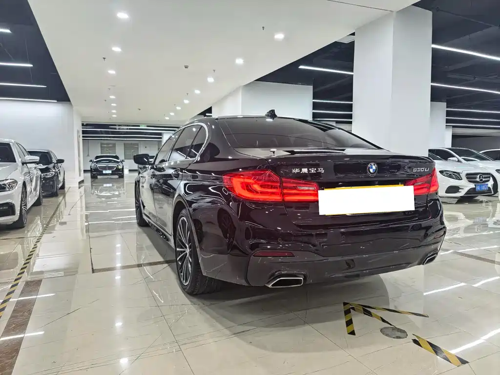 BMW 5 Series — миниатюра 4