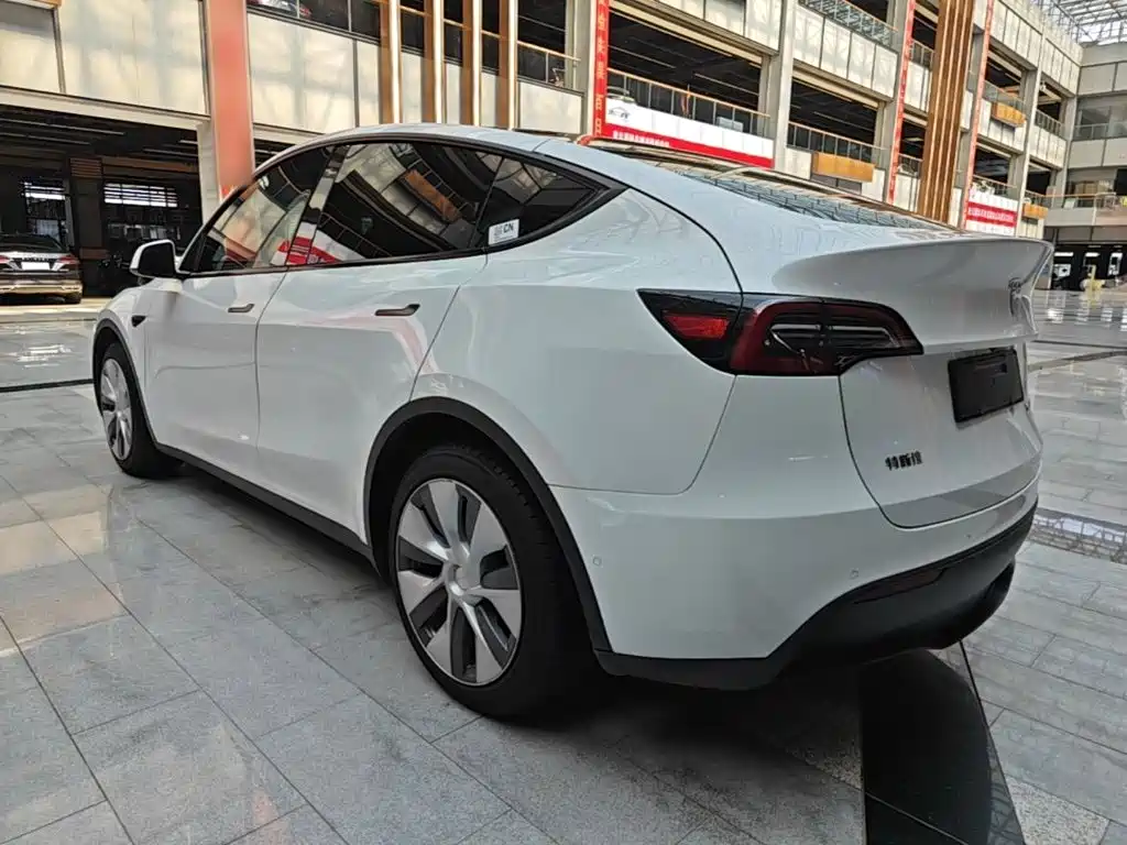 Tesla Model Y — миниатюра 5