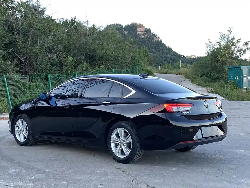 Buick Regal — миниатюра 18