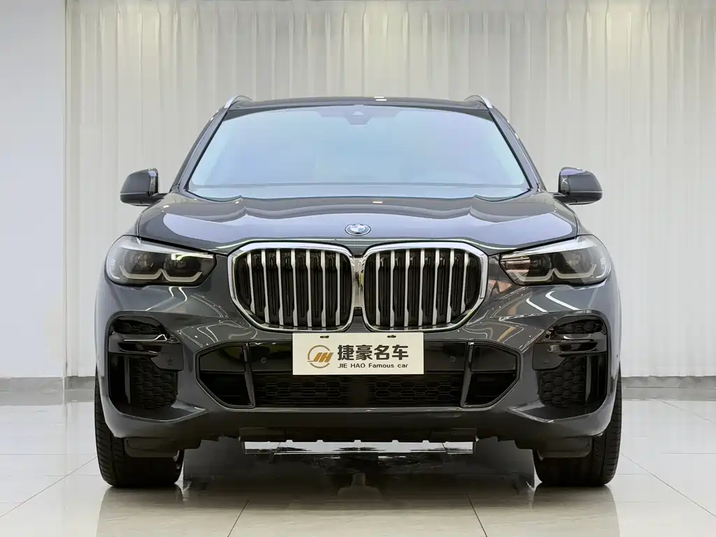 BMW X5 (Import) — миниатюра 2