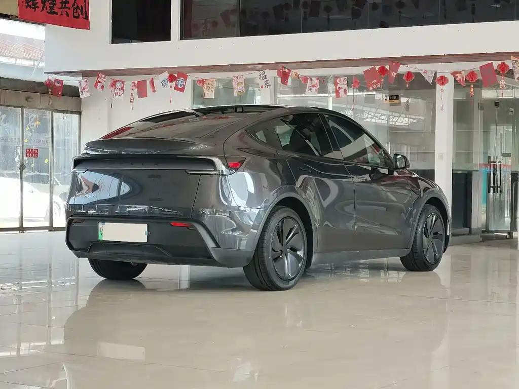 Tesla Model Y — миниатюра 4