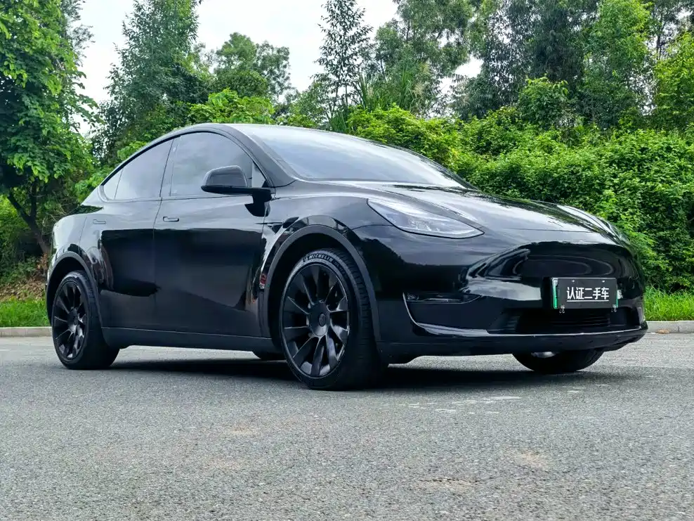 Tesla Model Y — миниатюра 3