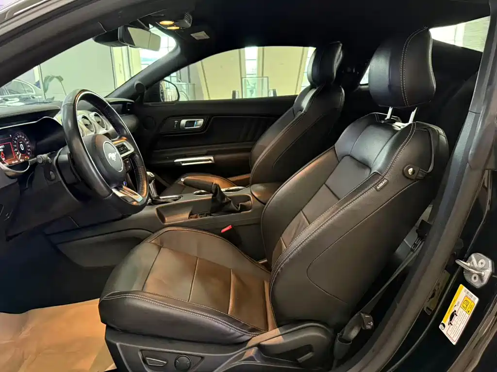 Ford Mustang — миниатюра 8