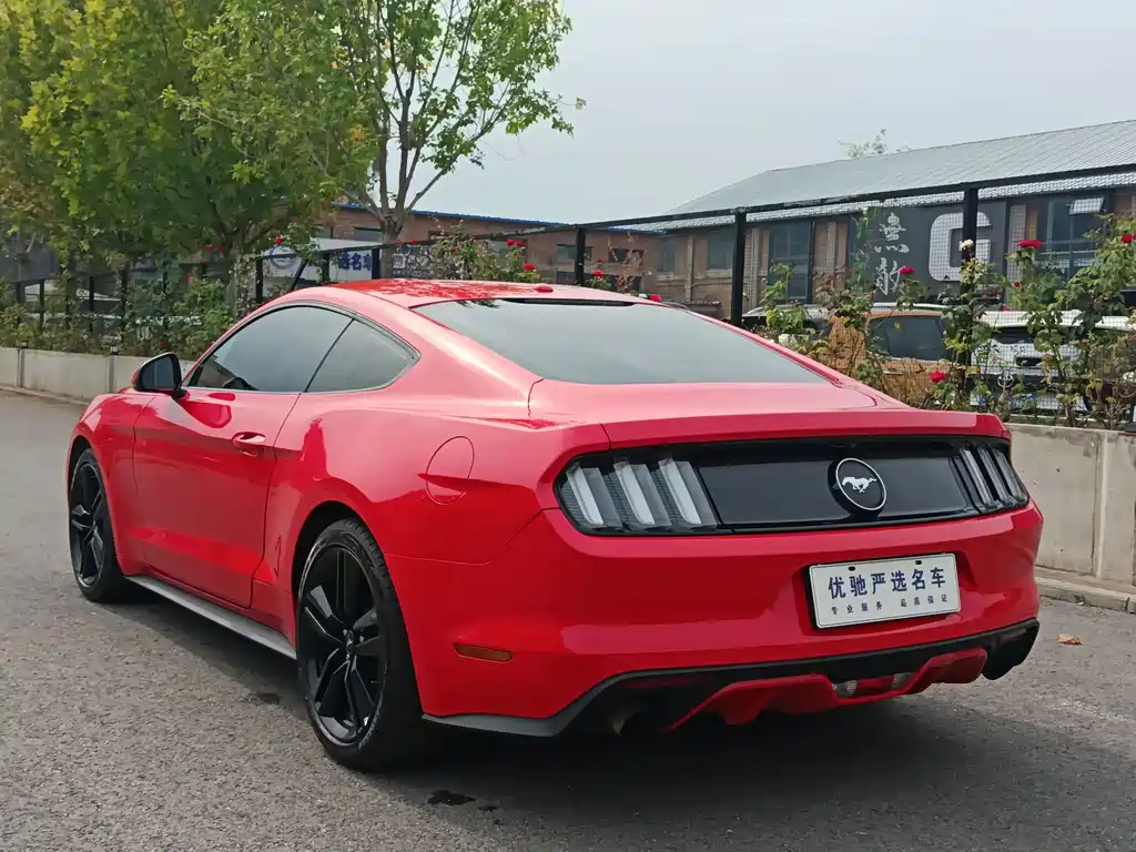 Ford Mustang — миниатюра 7