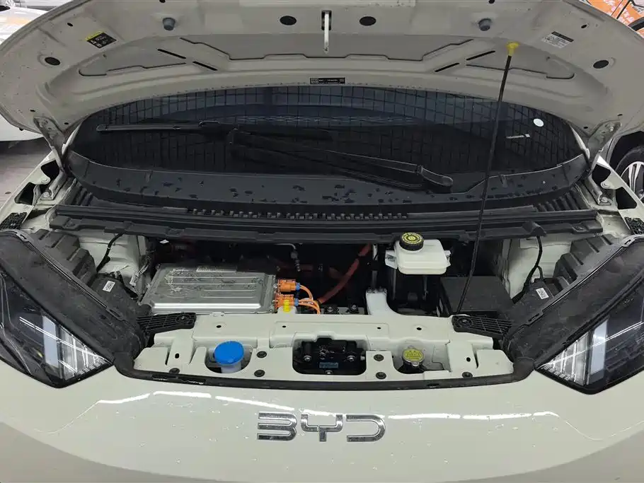 BYD Seagull 2025 Smart Drive 305km Freedom