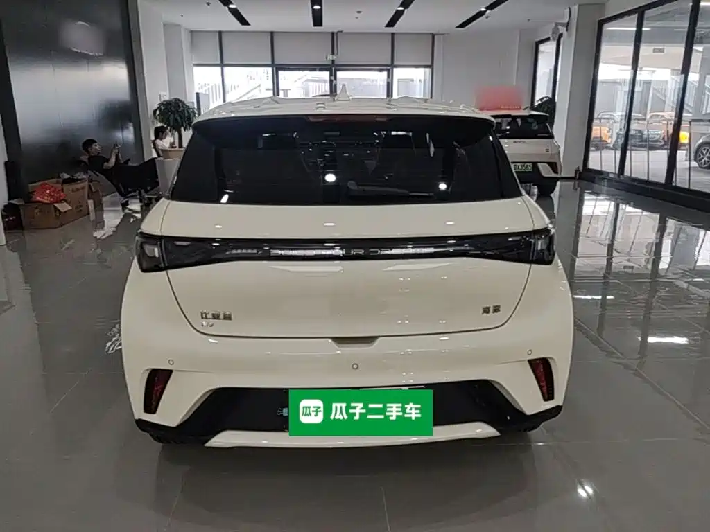 BYD Dolphin — миниатюра 6