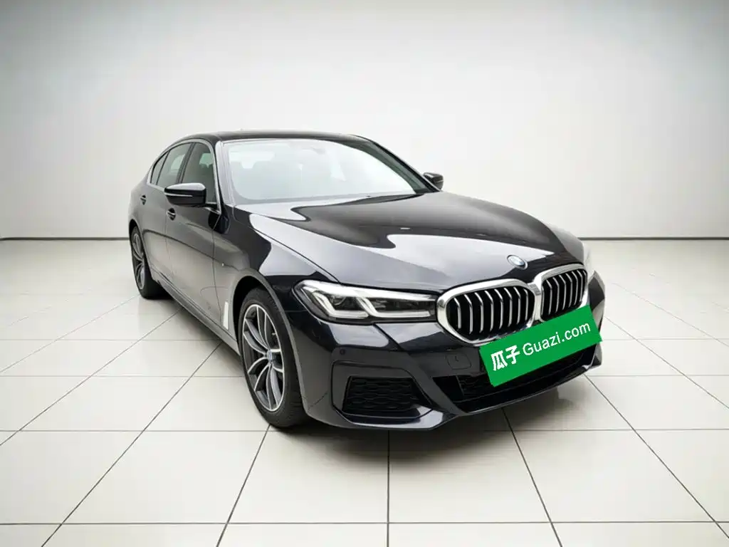 BMW 5 Series New Energy — миниатюра 3