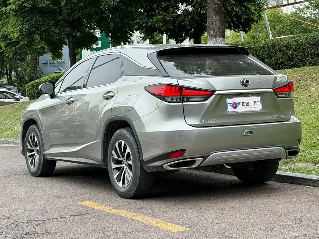 Lexus RX — миниатюра 4