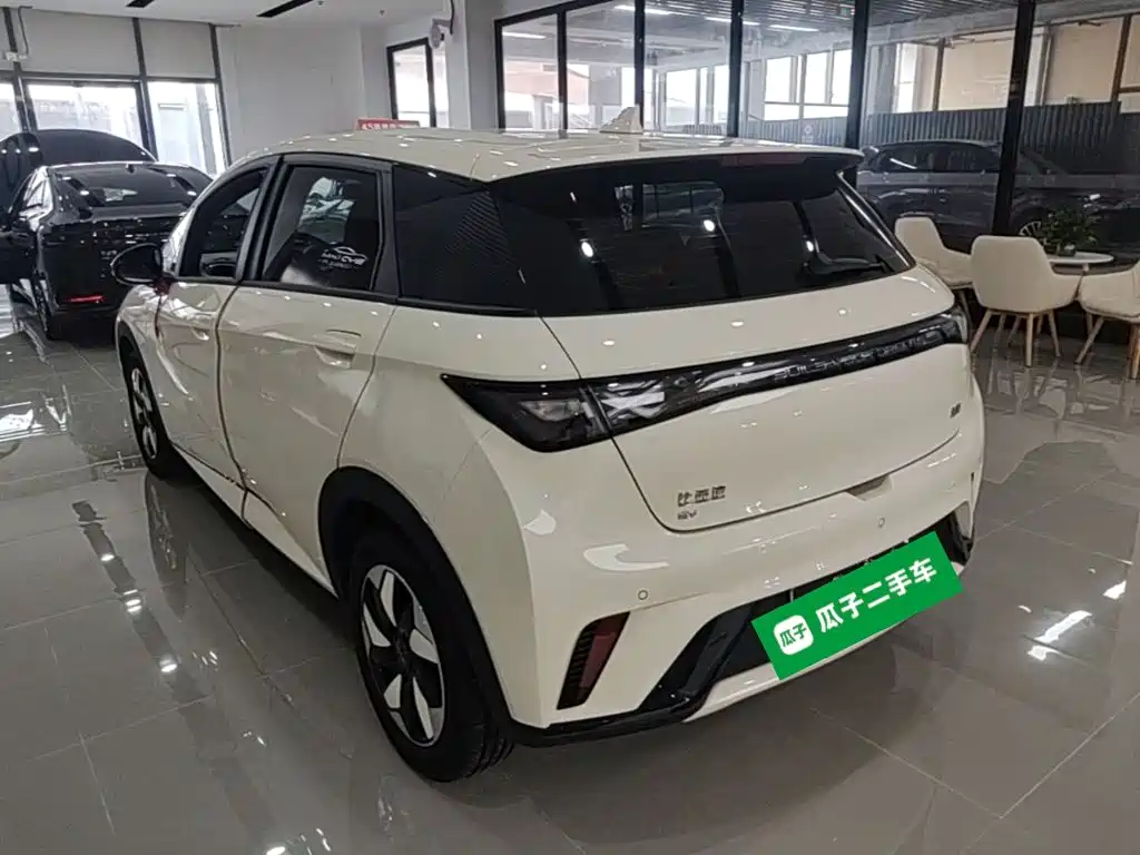 BYD Dolphin — миниатюра 5