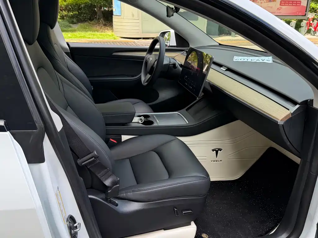 Tesla Model Y — миниатюра 9
