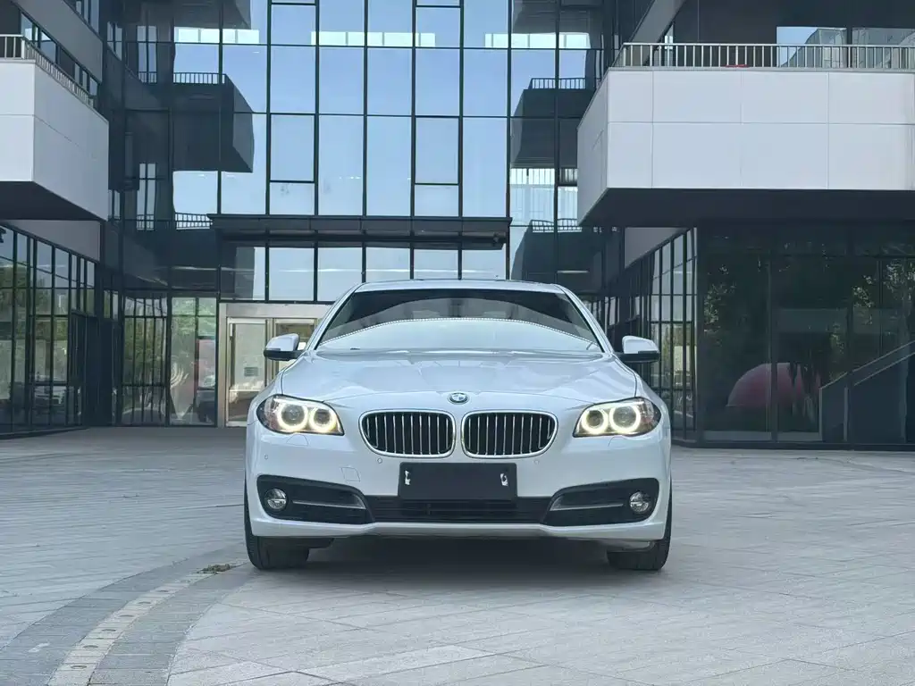 BMW 5 Series 5 2017 525Li Lead