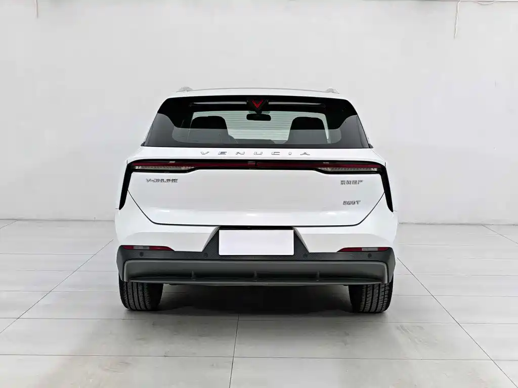 Venucia V 2022 260T