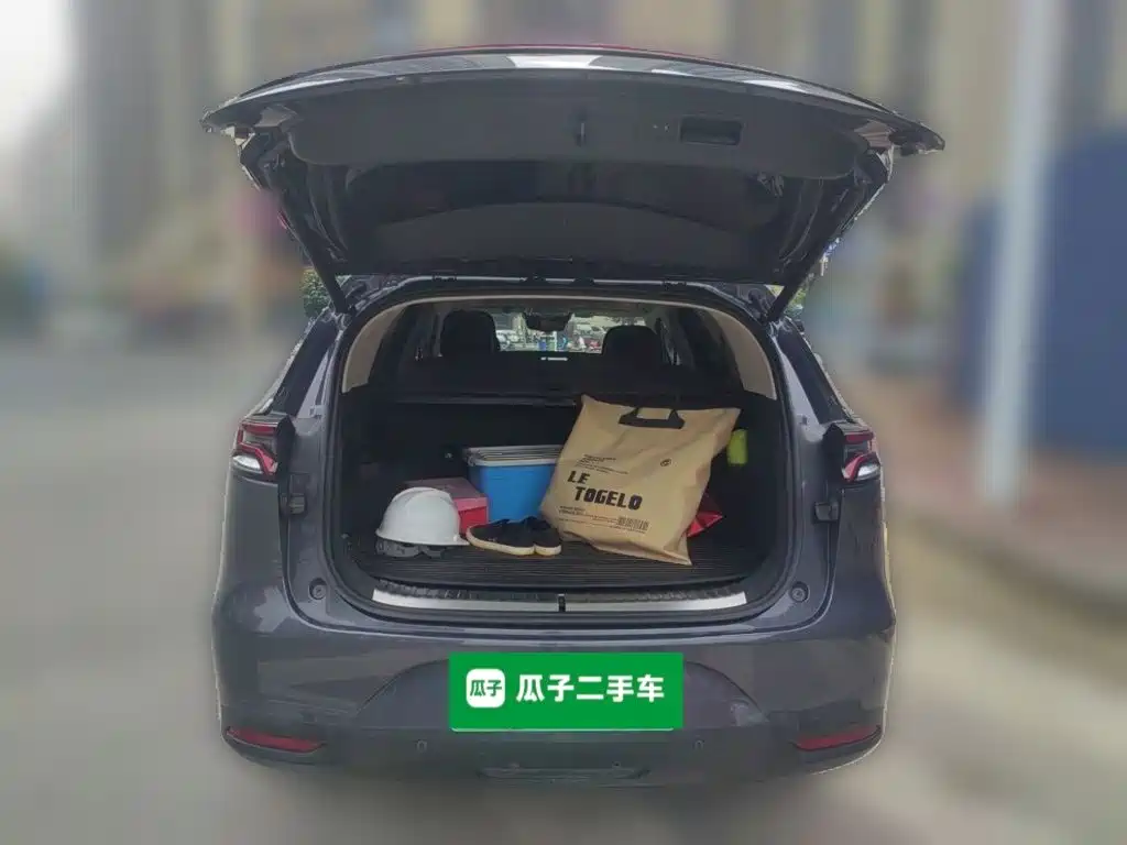 BYD Tang New Energy — миниатюра 20
