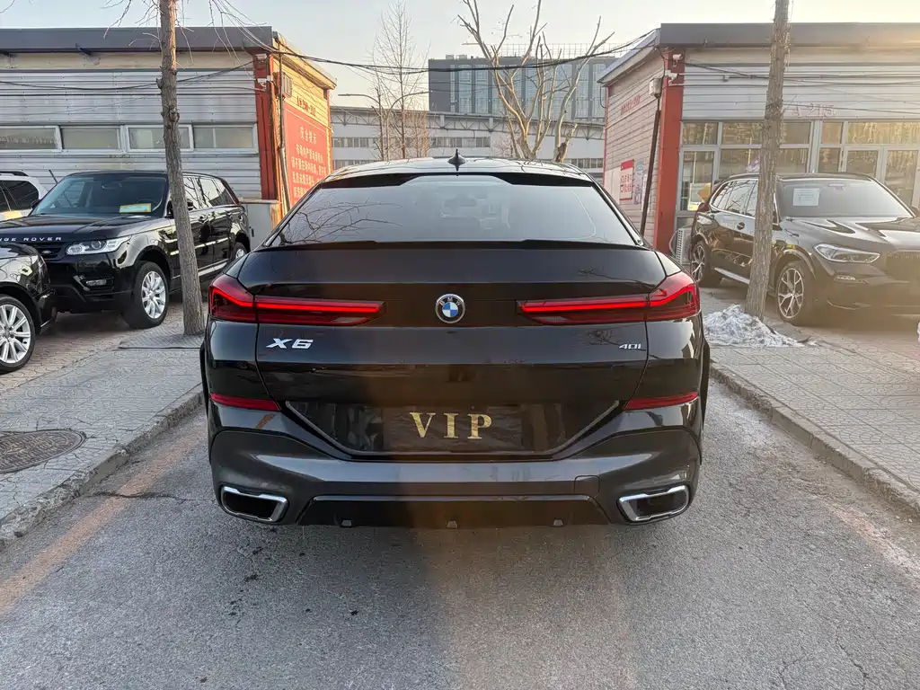 BMW X6
