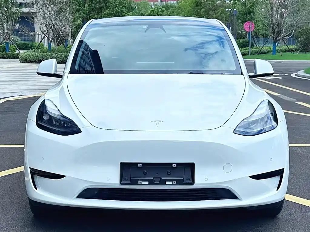 Tesla Model Y — миниатюра 2