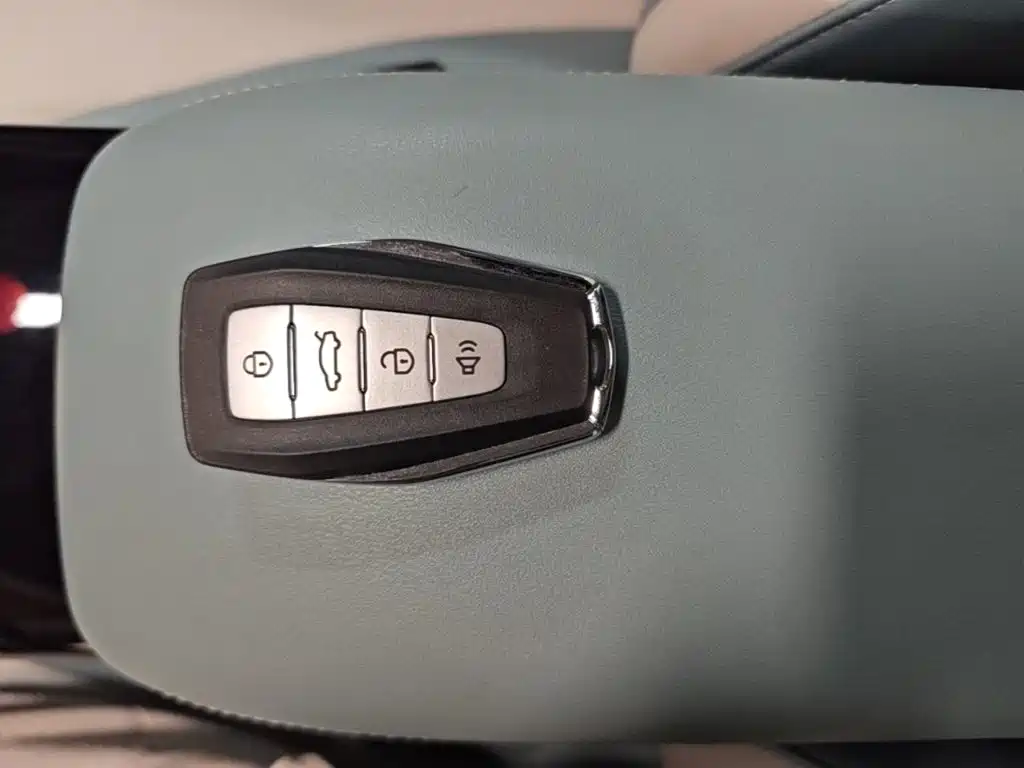 Geely E Firefly E 2024 301km